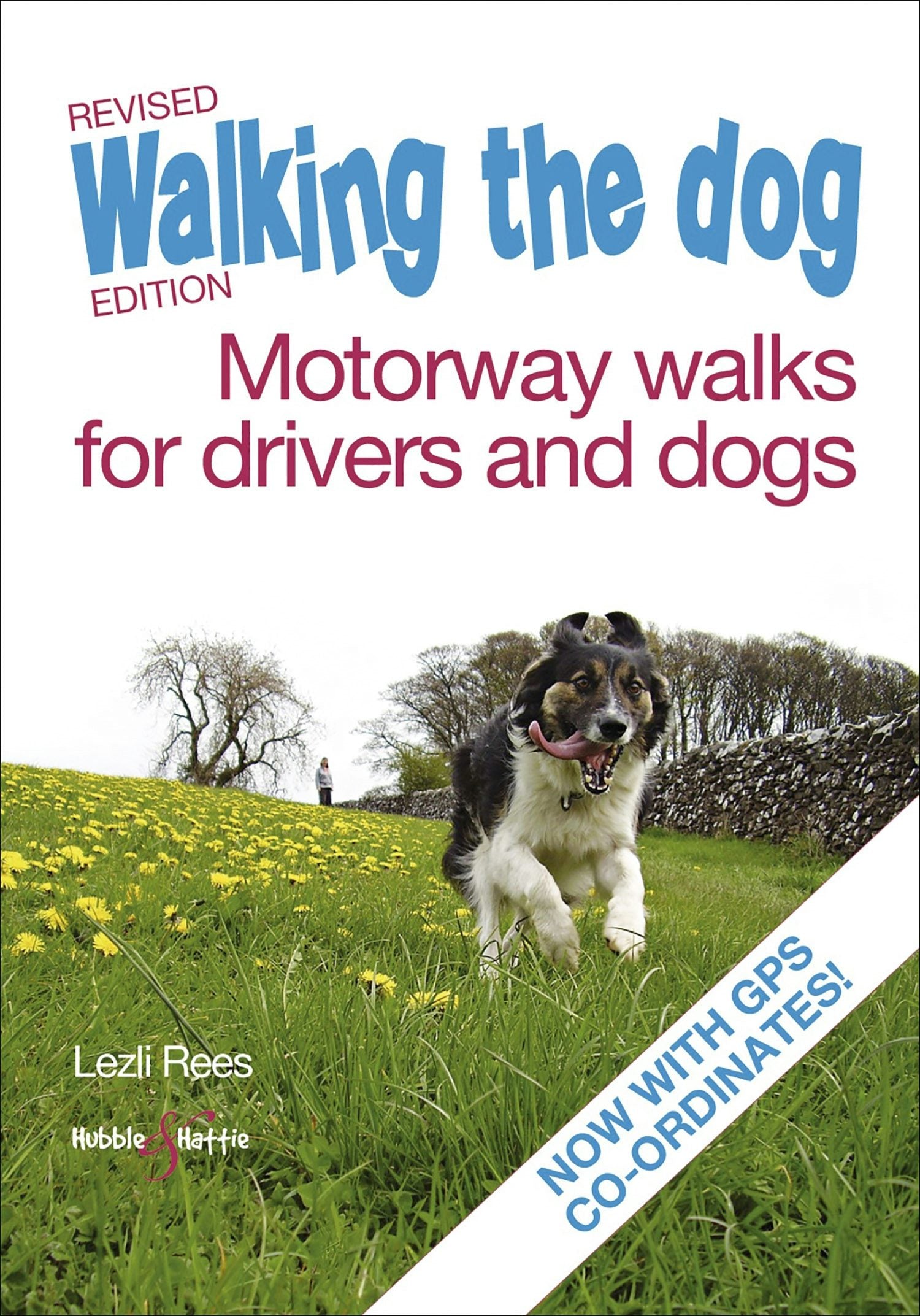 Book cover image for Walking the dog ISBN: 9781845845520